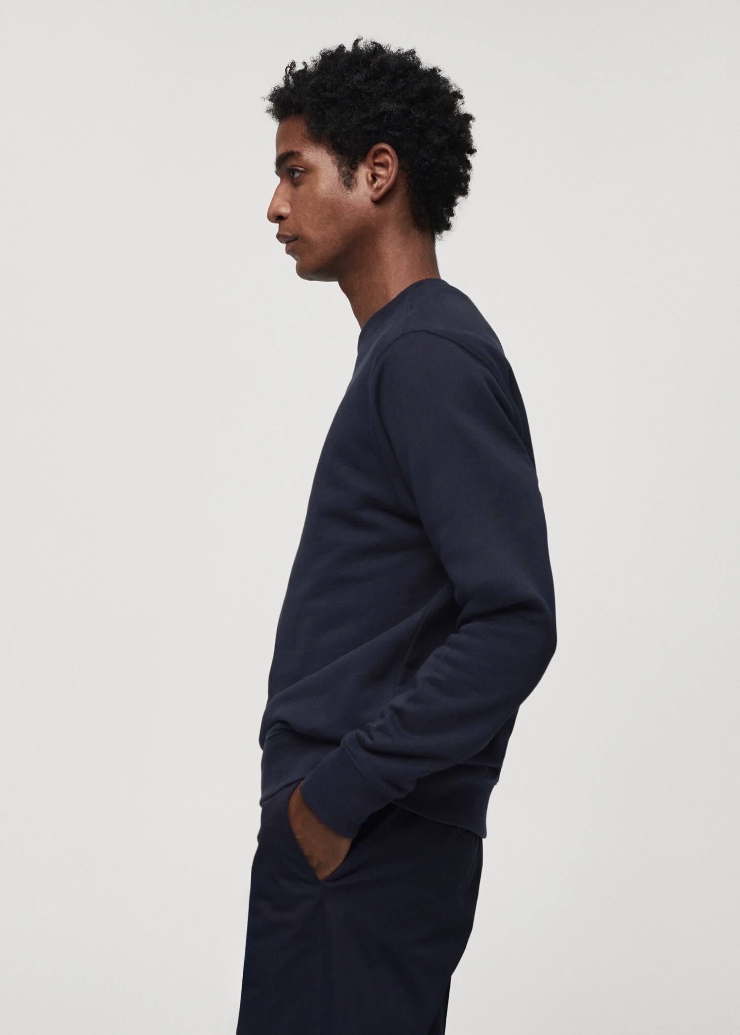 100% cotton basic sweatshirt - Details of the article 2
