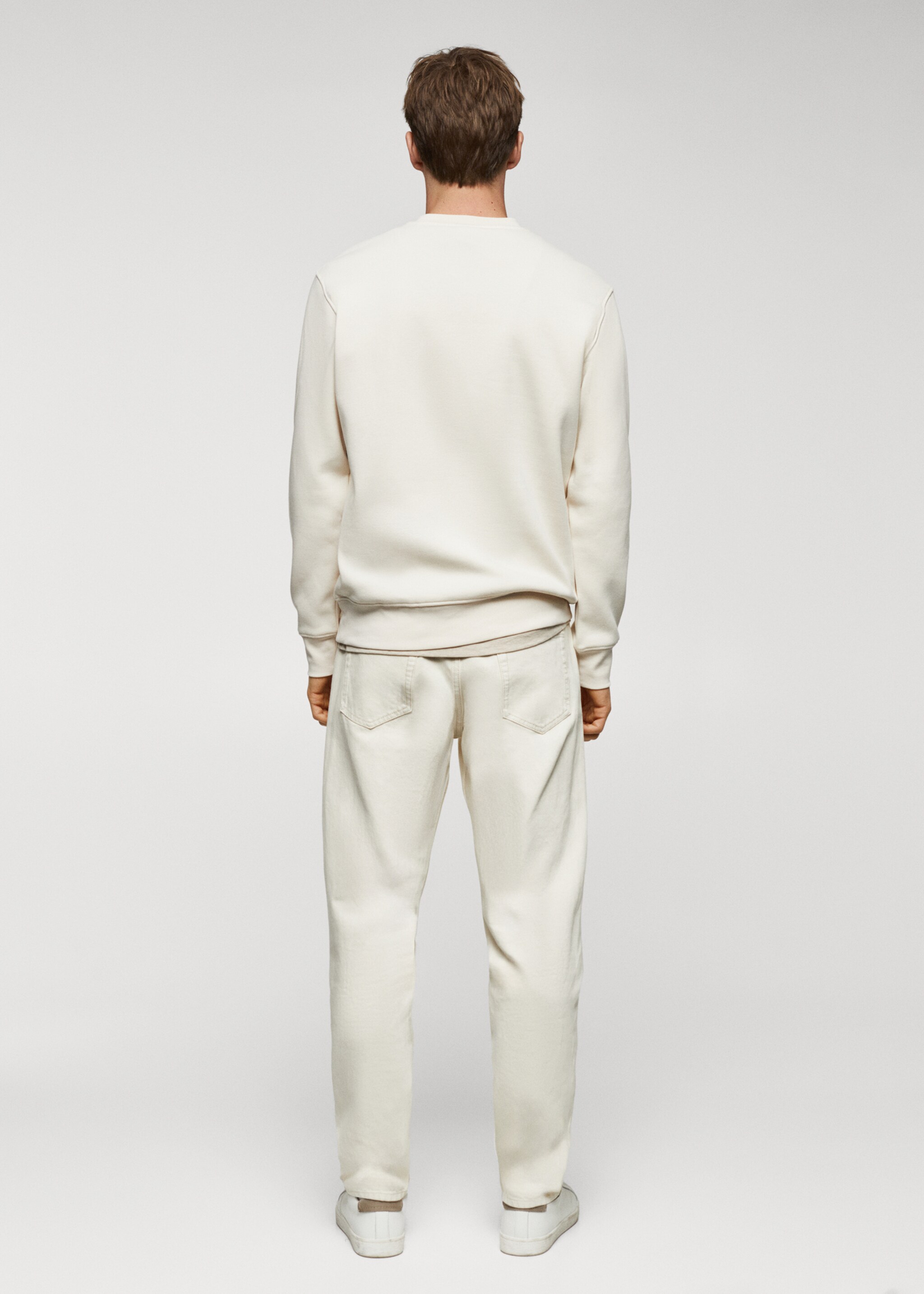Lightweight cotton sweatshirt - Reverse of the article