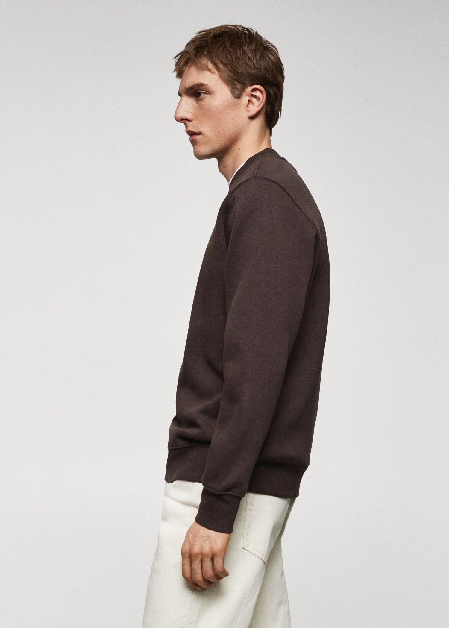 Lightweight cotton sweatshirt - Details of the article 2