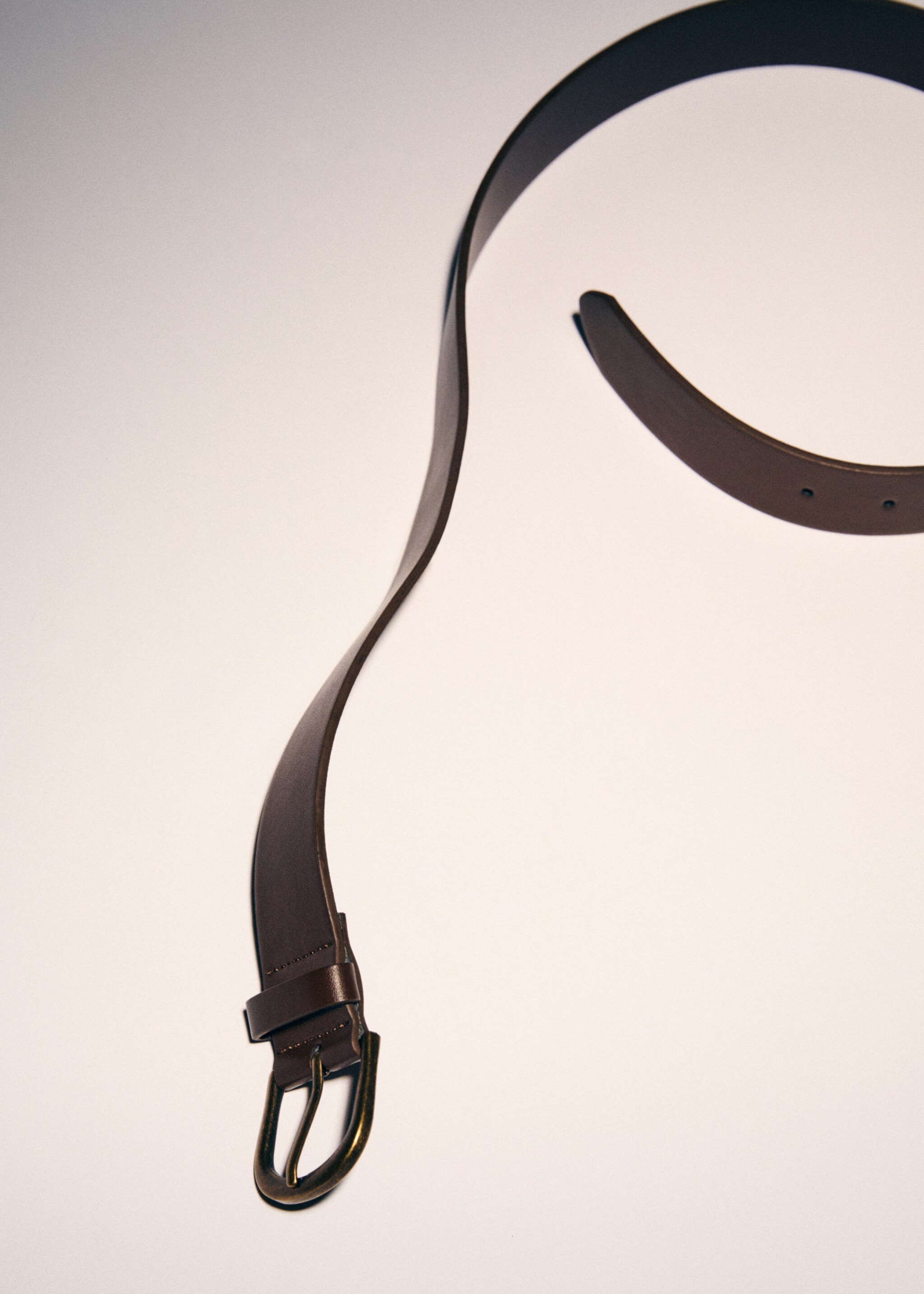 Metal buckle belt - Details of the article 9