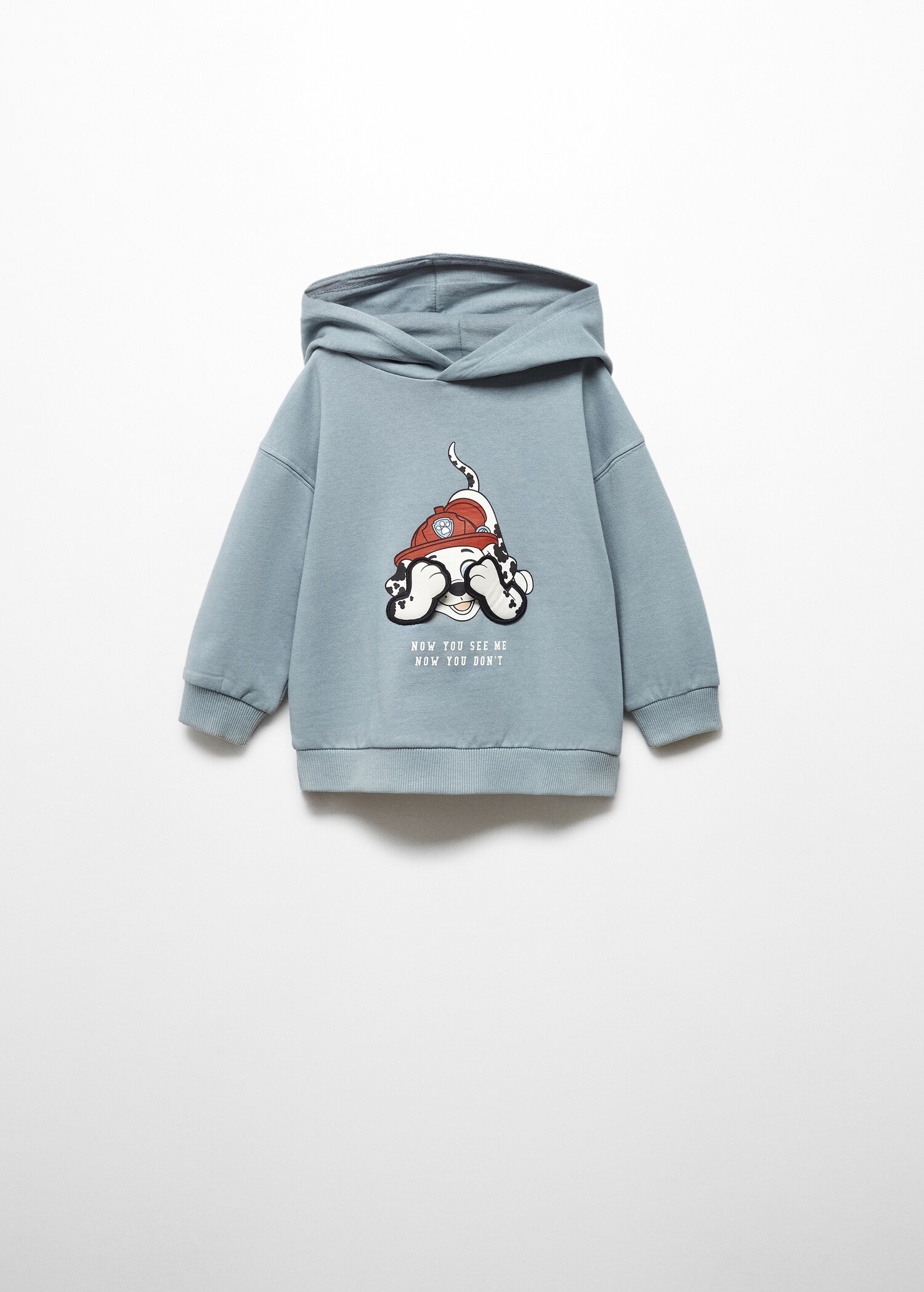 Paw Patrol sweatshirt - Artikel zonder model