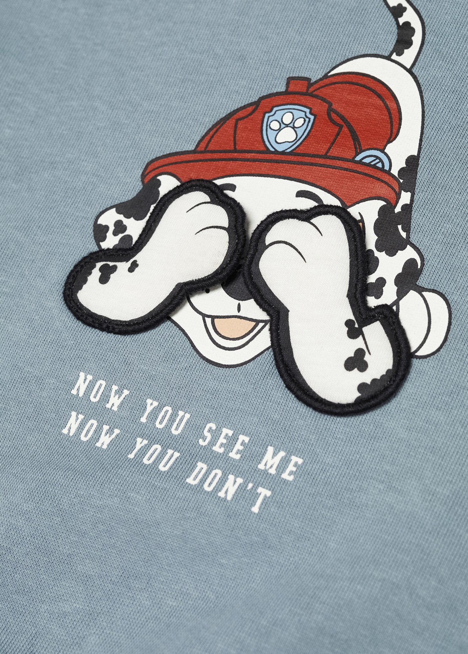 Paw Patrol sweatshirt - Detail van het artikel 0