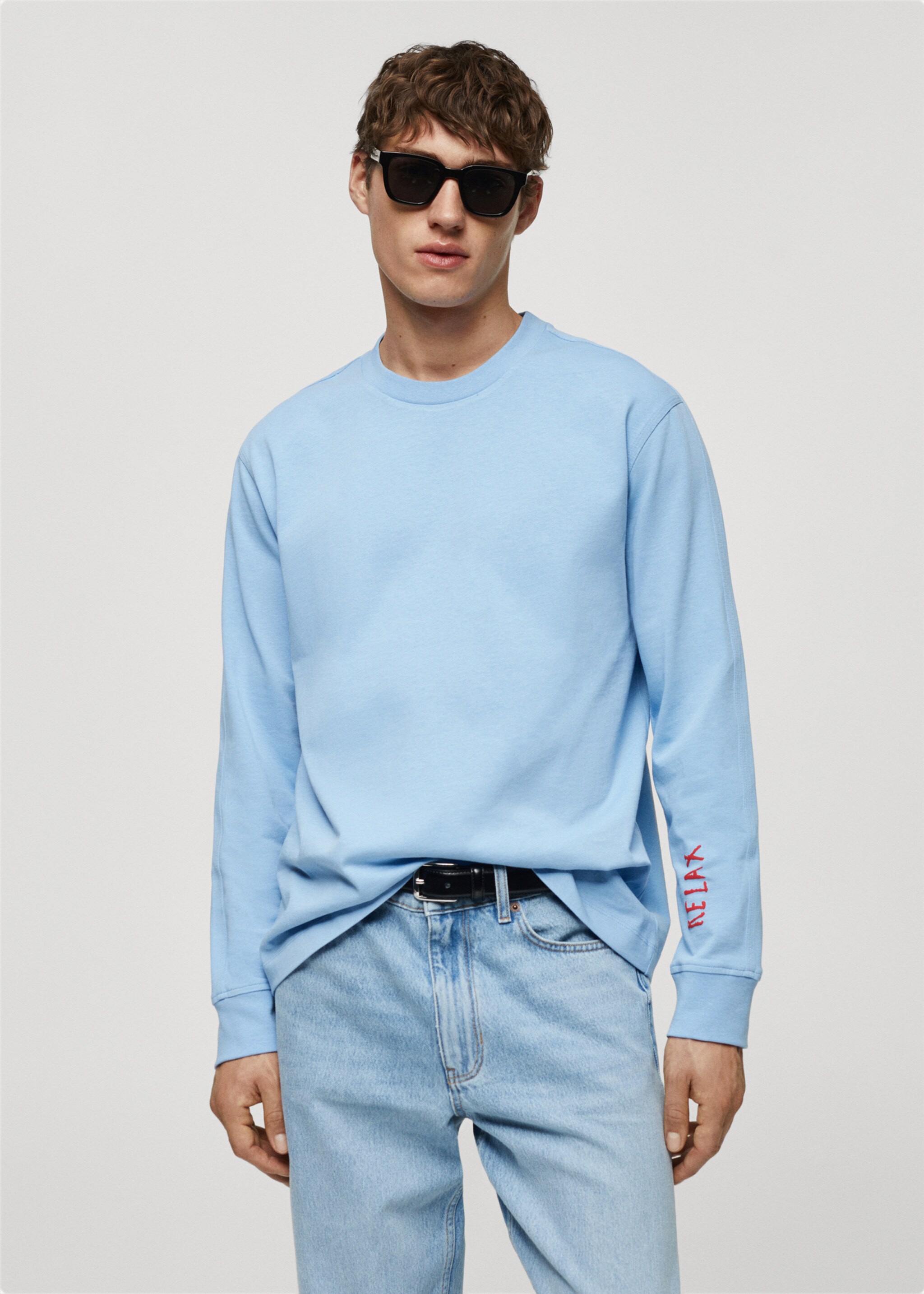 100% cotton sweatshirt with printed drawing - Medium plane