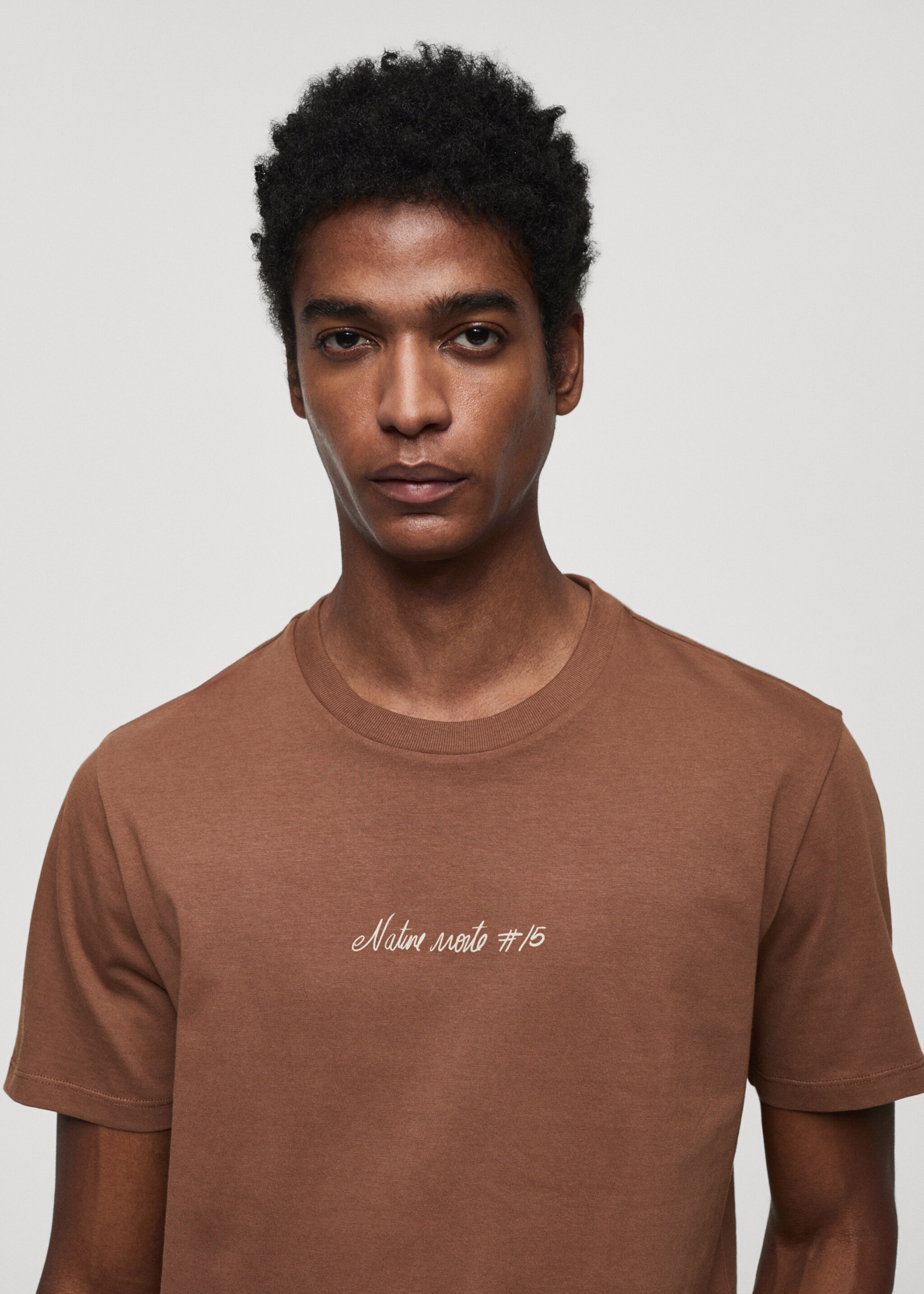 100% cotton t-shirt with printed detail - Details of the article 1, Brown. Ref: 67045986-00.