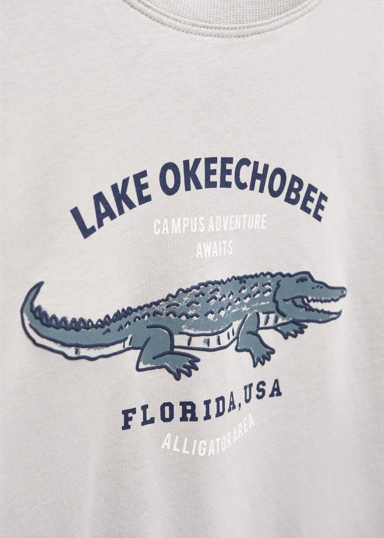 Camiseta estampada algodón - Detalle del artículo 8