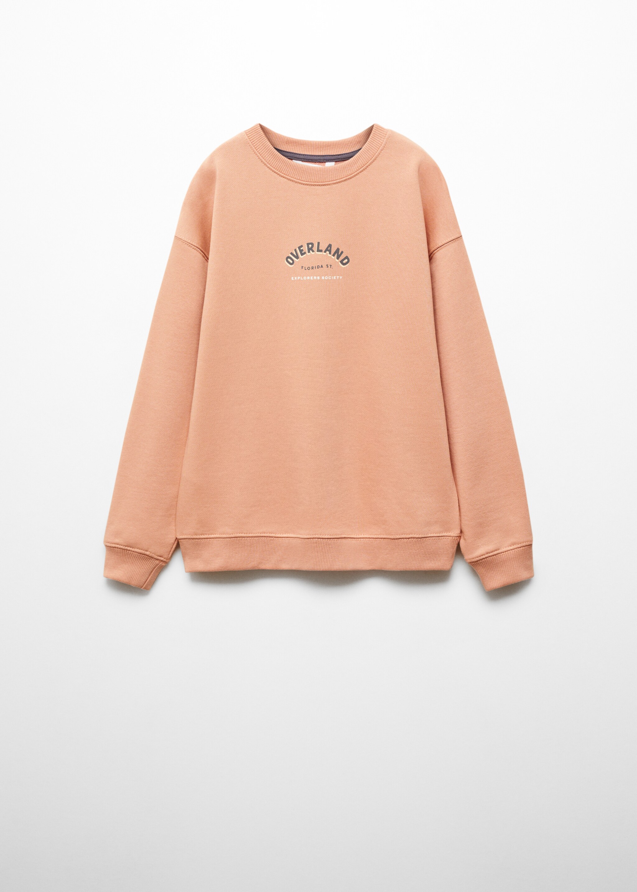 Printed message sweatshirt - Article without model