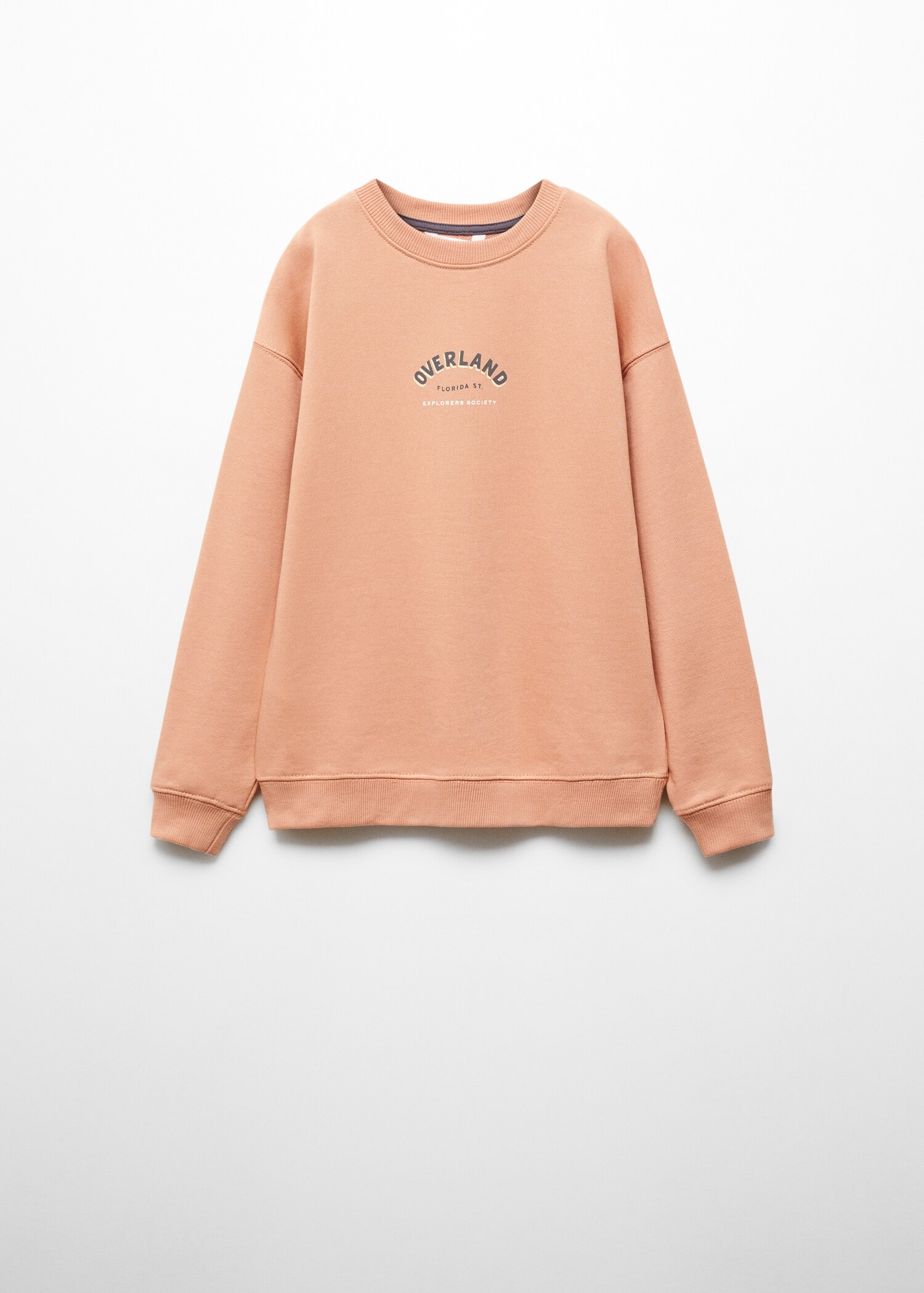 Printed message sweatshirt - Article without model