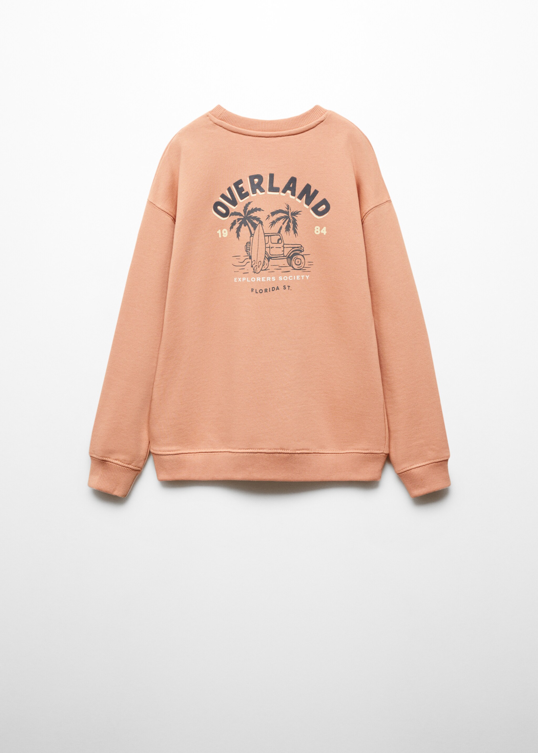 Printed message sweatshirt - Reverse of the article