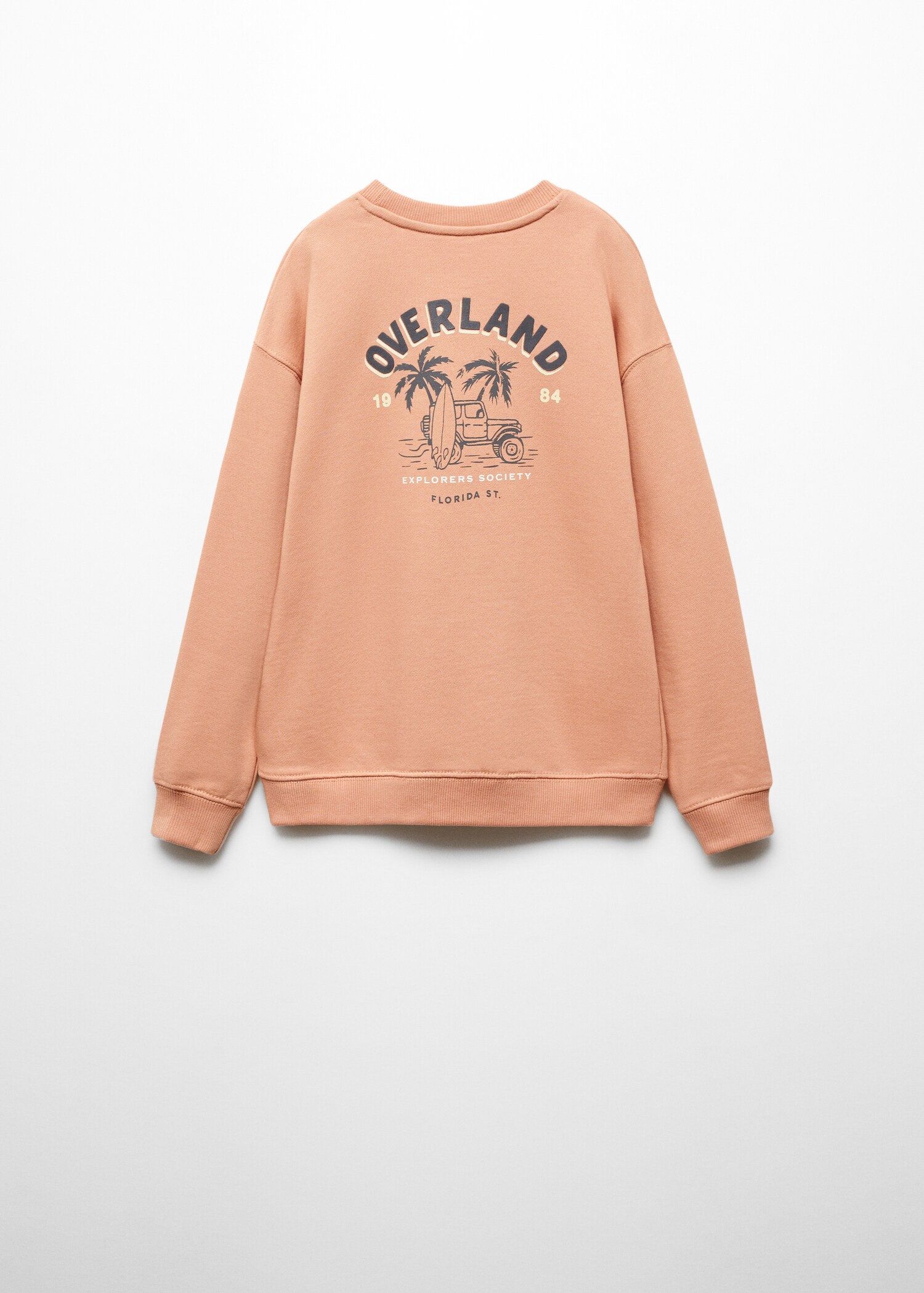 Printed message sweatshirt - Reverse of the article