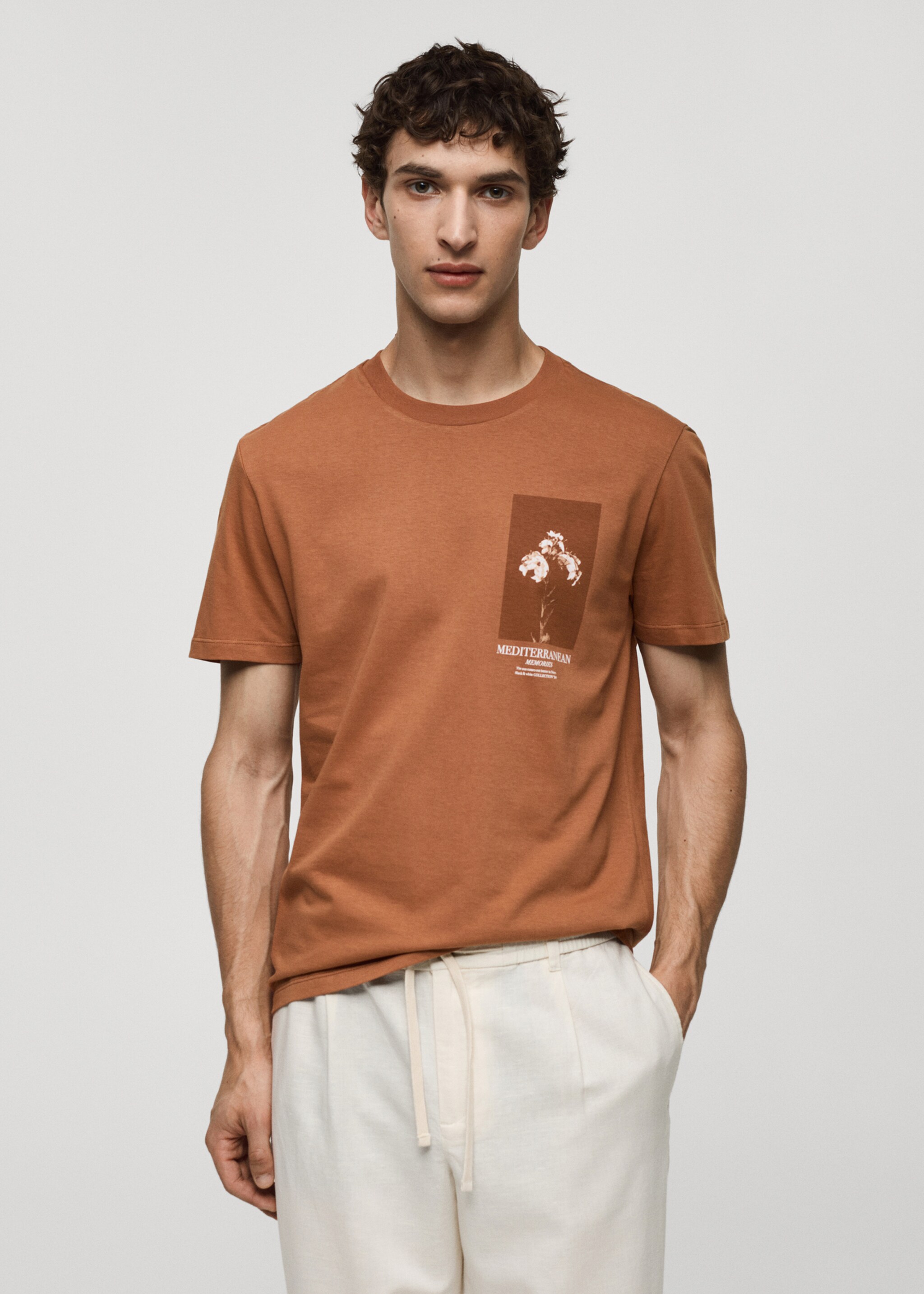 Slim-fit 100% printed cotton t-shirt - Medium plane
