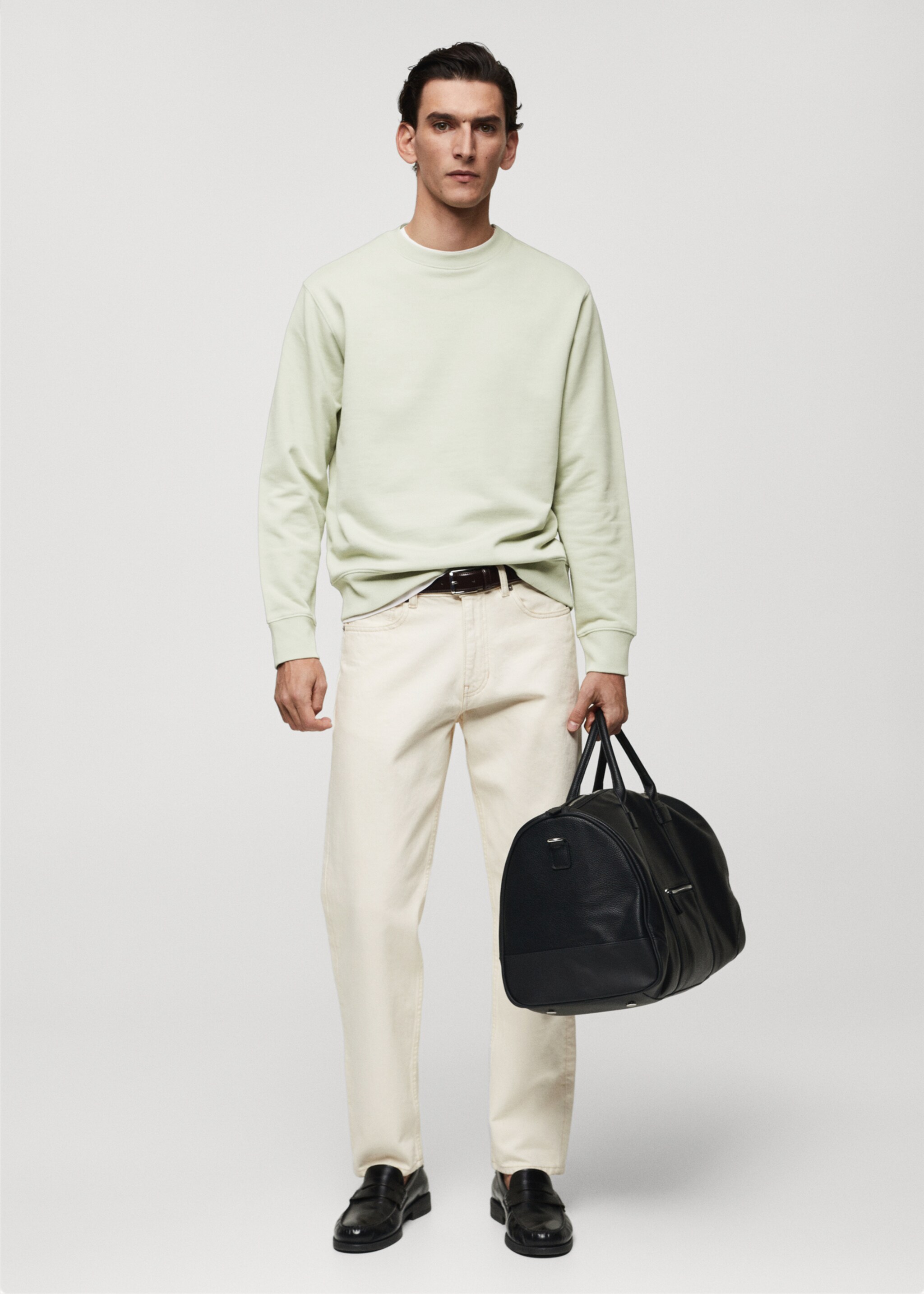 100% cotton basic sweatshirt - General plane