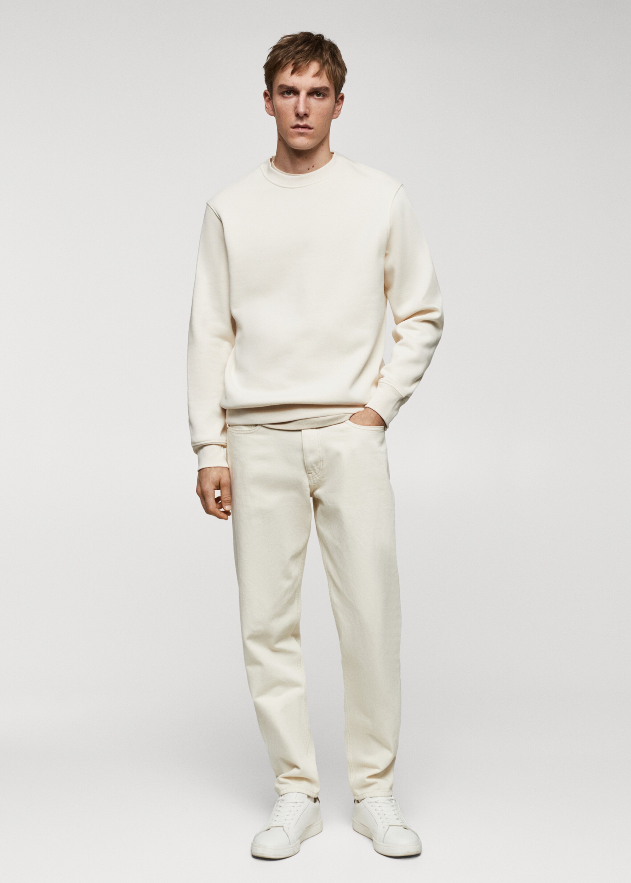 Lightweight cotton sweatshirt - General plane