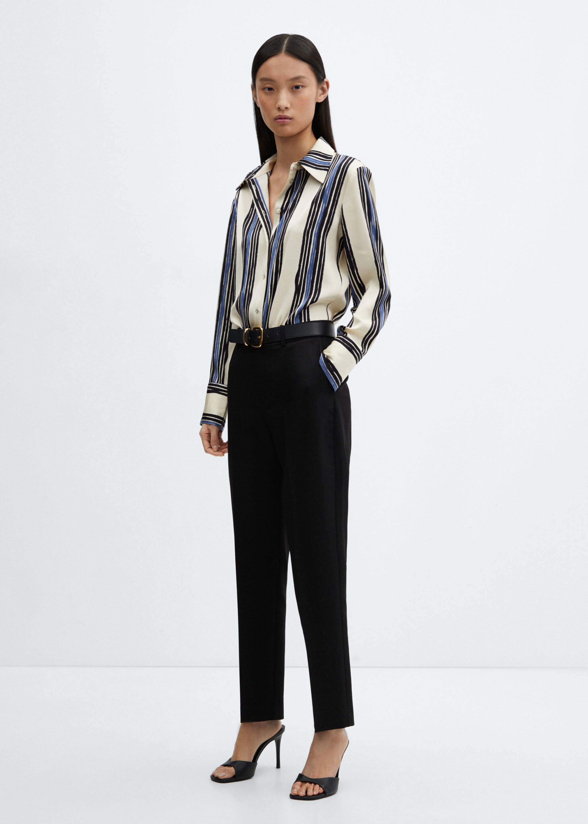 Satin striped shirt - General plane