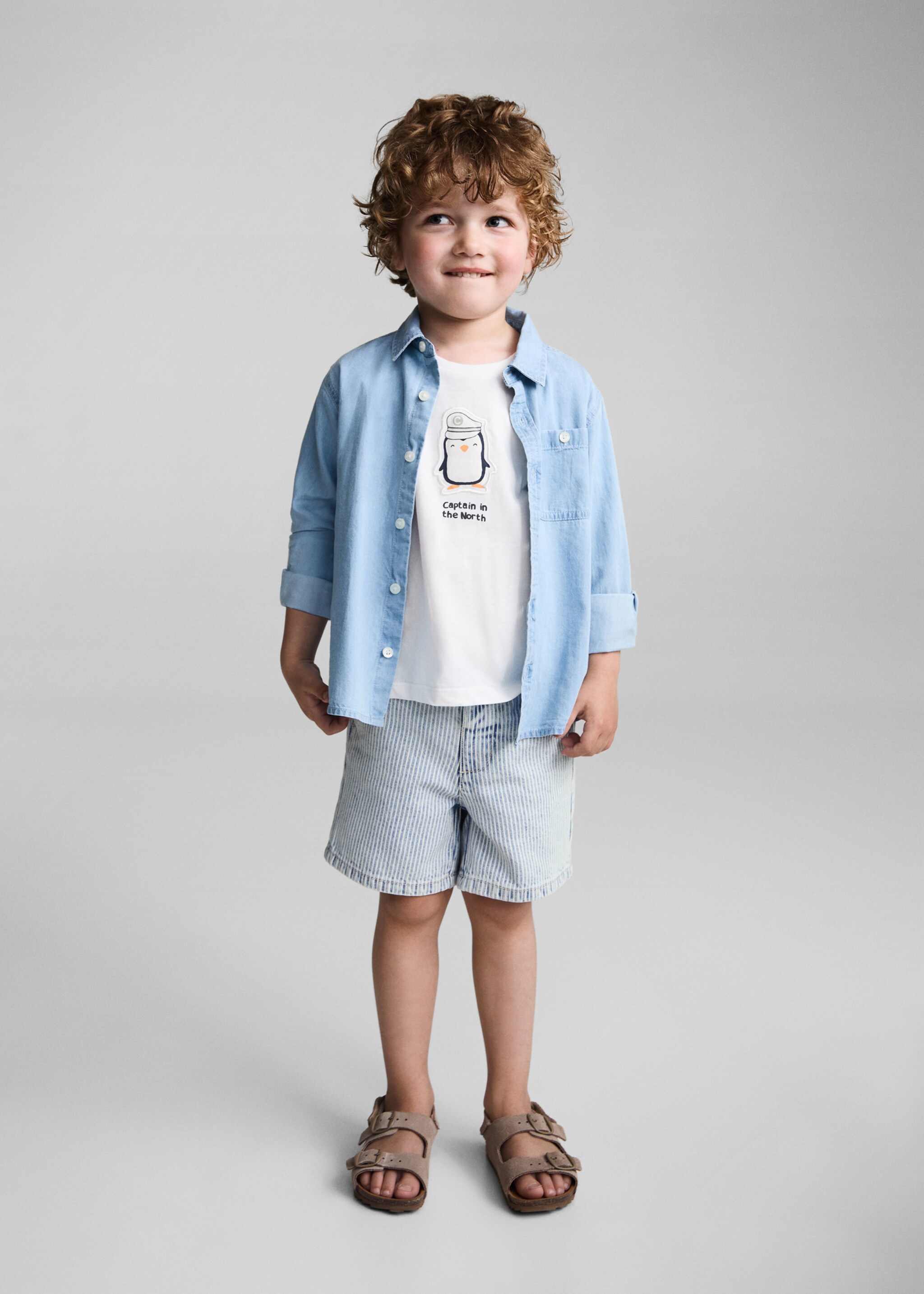 Striped cotton Bermuda shorts - General plane