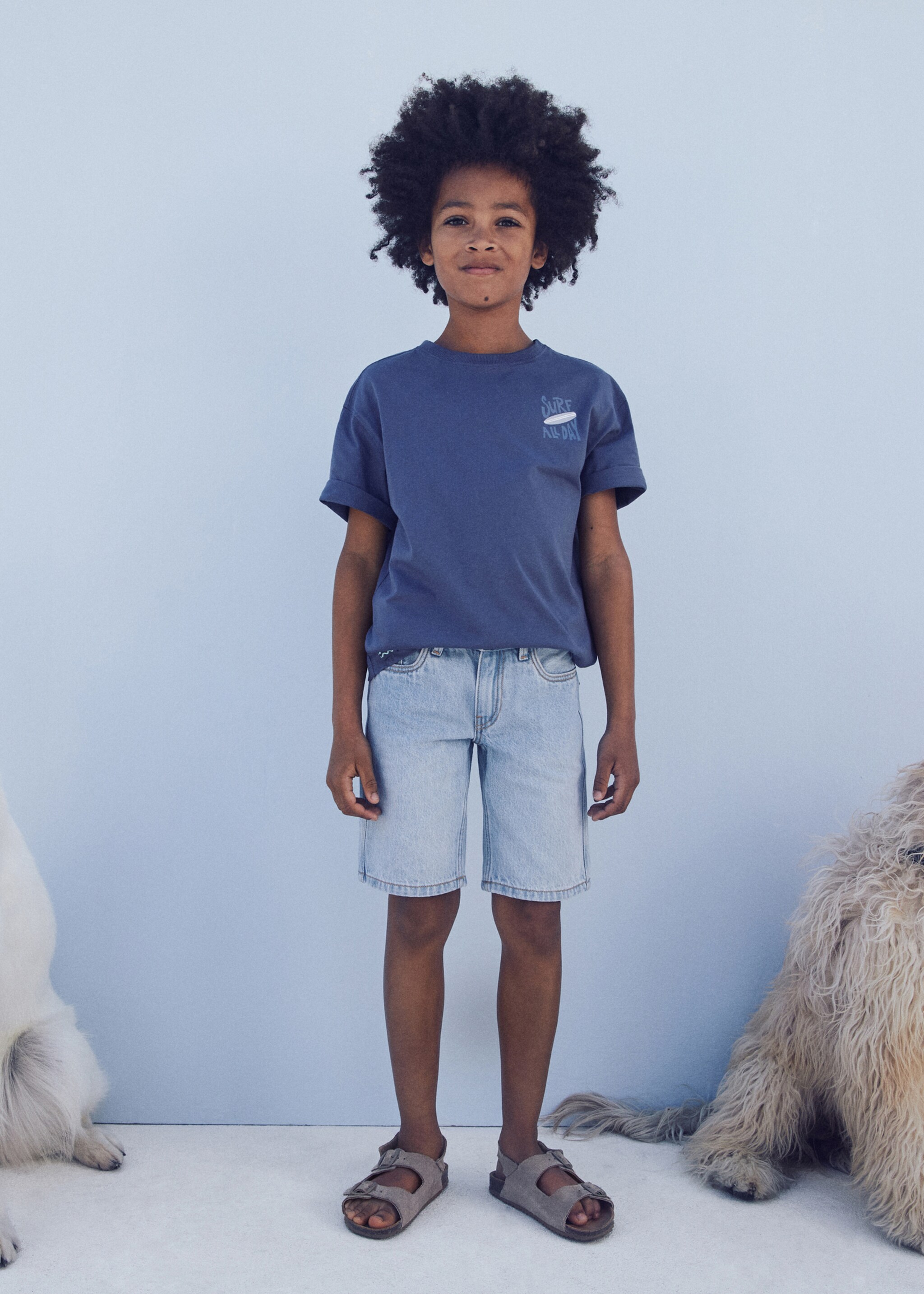 Cotton denim shorts - General plane
