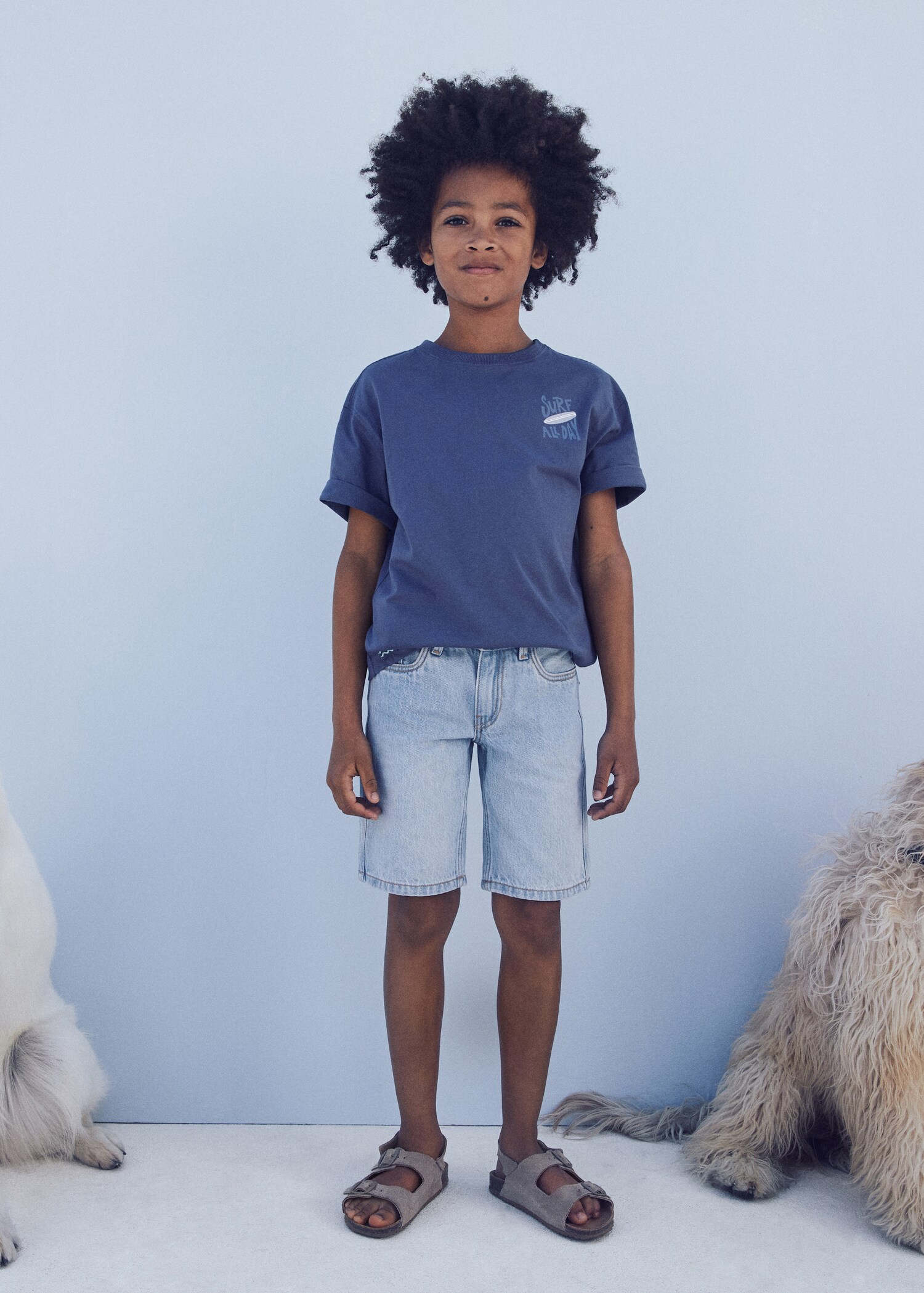 Bermudas denim algodón - Plano general