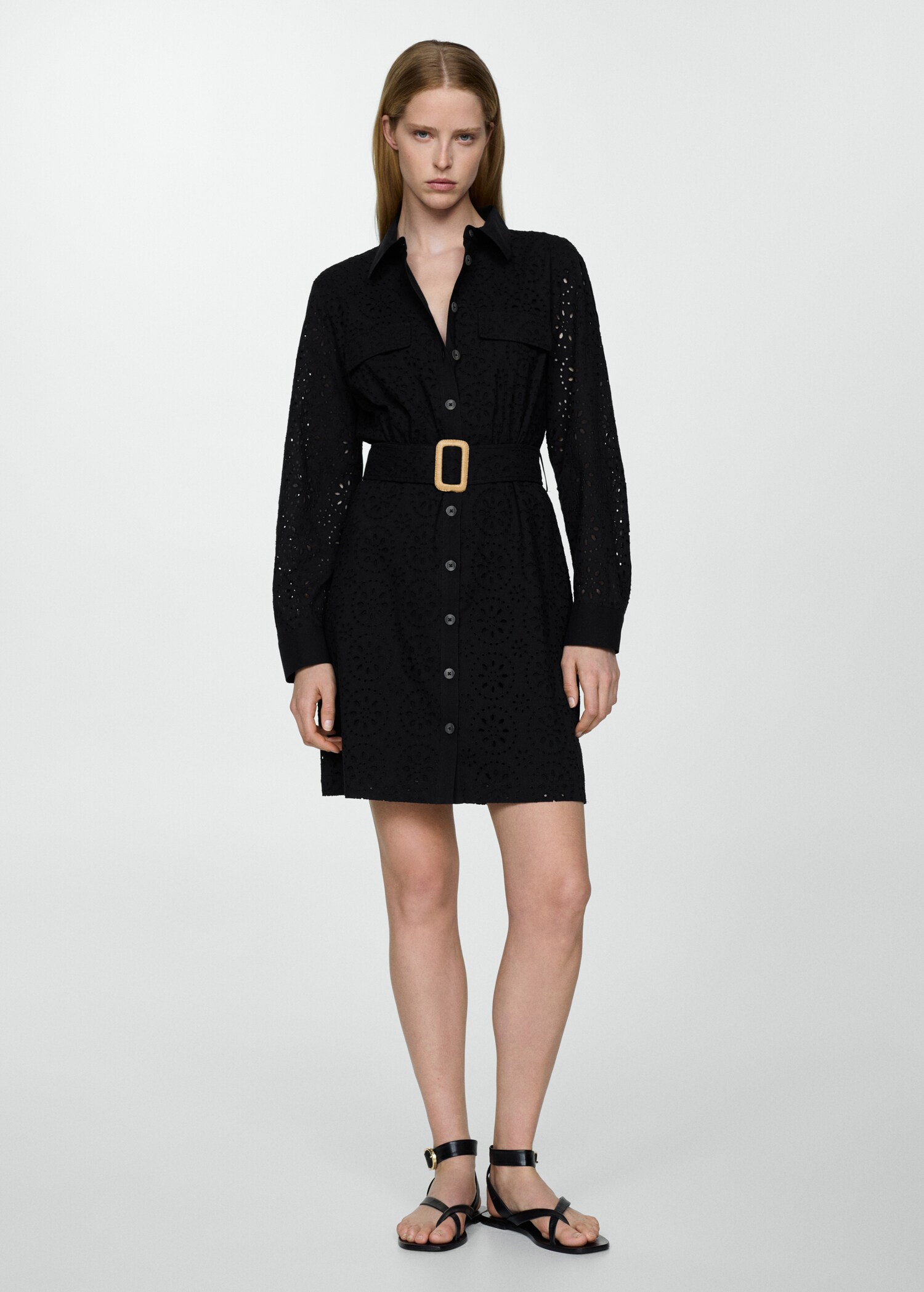 Swiss embroidered shirt dress - General plane