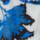 Colour Blue selected