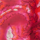 Color Fuchsia selected