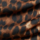 Colour Brown selected