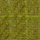 Colour Olive Green