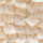 Colour Ivory White selected