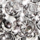 Color Plata seleccionado