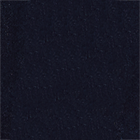 TS