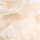 Colour Beige selected