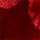 Colour Red selected