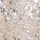 Farbe Silber ausgewählt