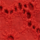 Colour Red selected