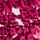 Farbe Fuchsia ausgewählt