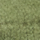 Color Verde