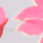 Farbe Rosa ausgewählt