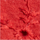 Farbe Rot ausgewählt