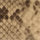 Color Beige