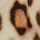 Colour Brown selected