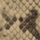 Color Beige selected