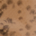 Colour Beige selected