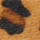 Colour Medium Brown selected
