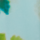 Aqua Green