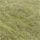 Farbe Grün ausgewählt