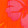 Colour Orange selected