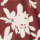 Colour Maroon selected