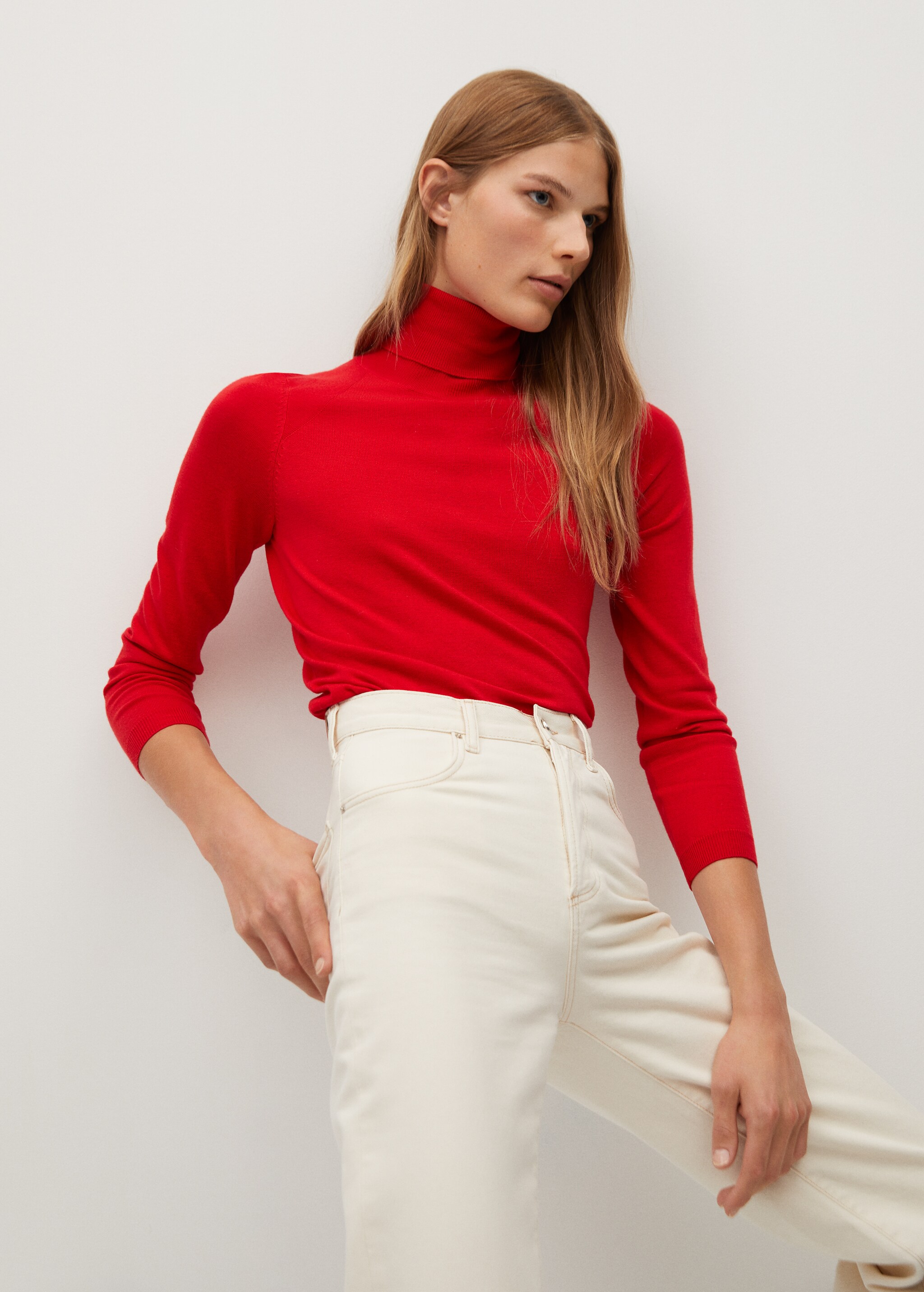 Turtleneck sweater - Medium plane