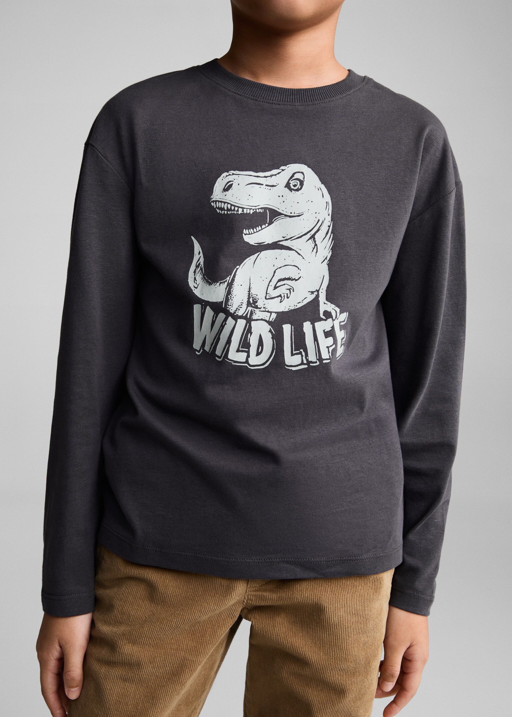 Printed long sleeve t-shirt - Details of the article 6, Charcoal. Ref: 77006737-00.