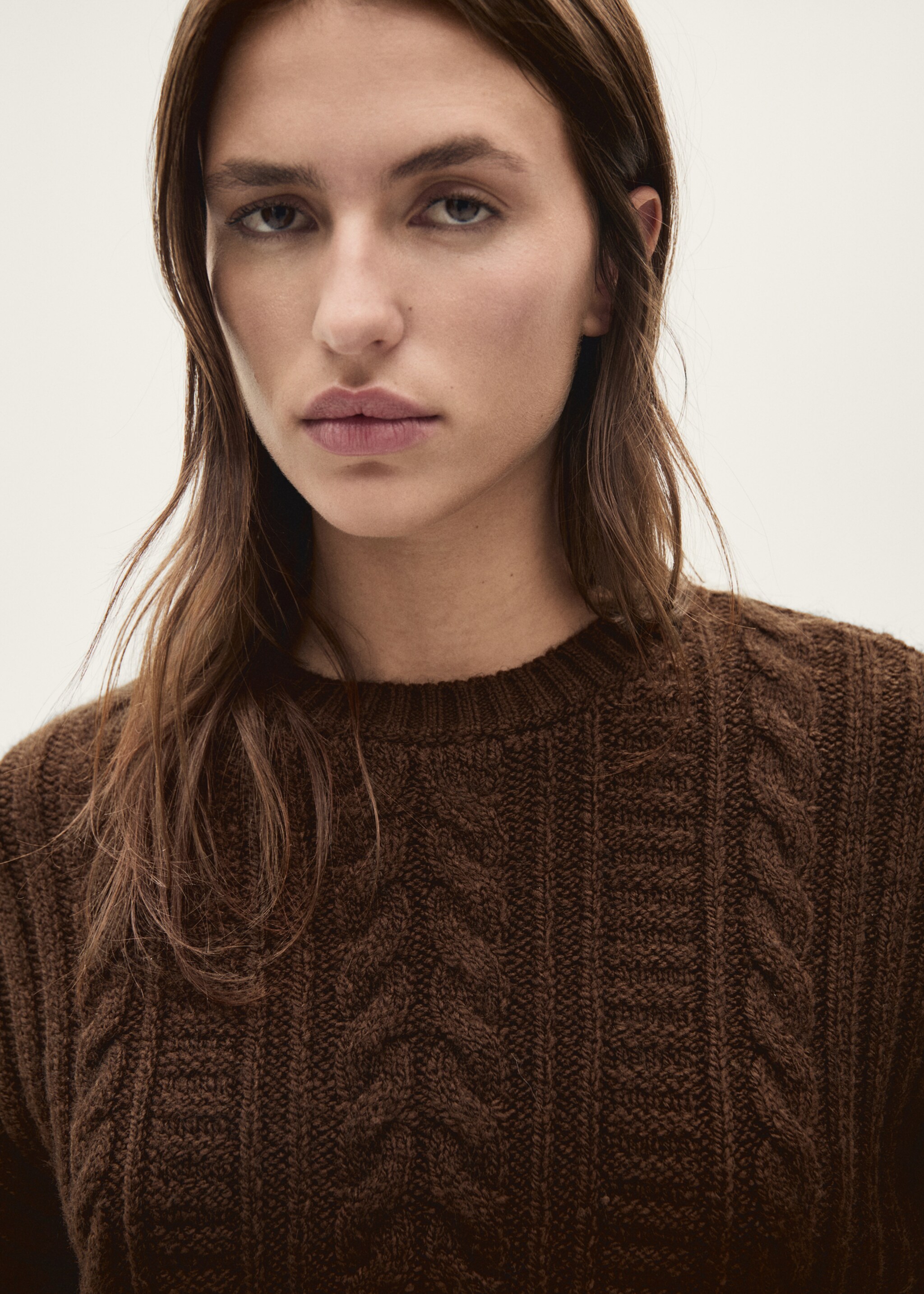 Round-neck braided sweater - Details of the article 1, Brown. Ref: 77007678-00.