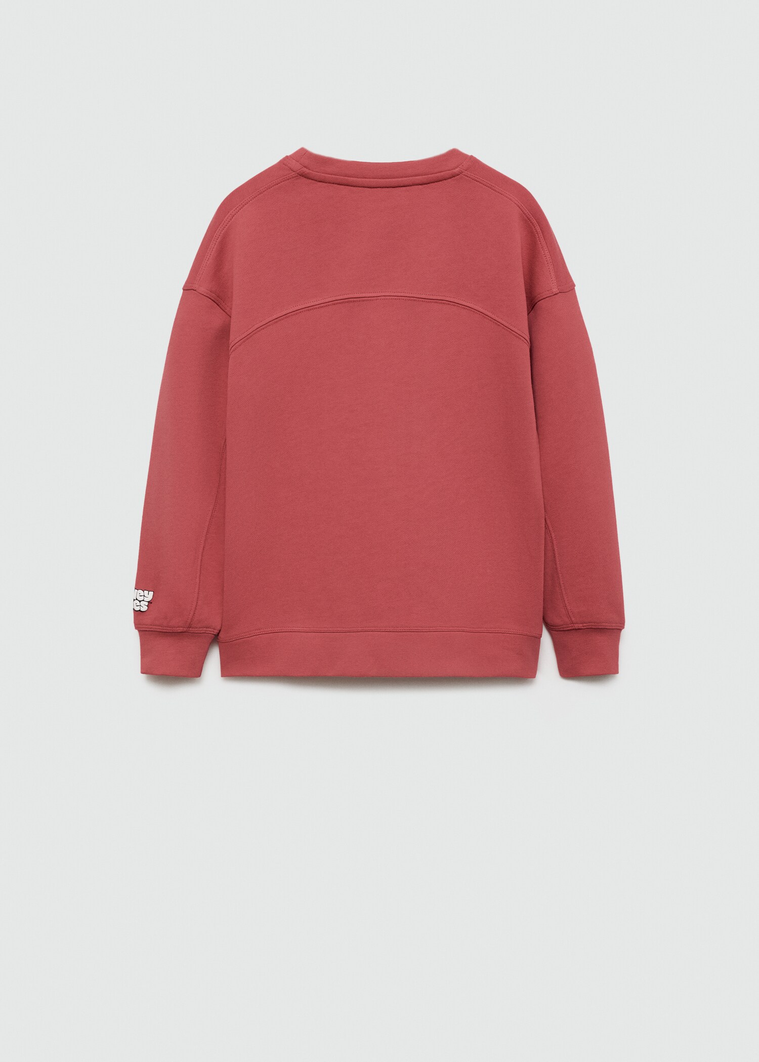 Sudadera Looney Tunes - Reverso del artículo