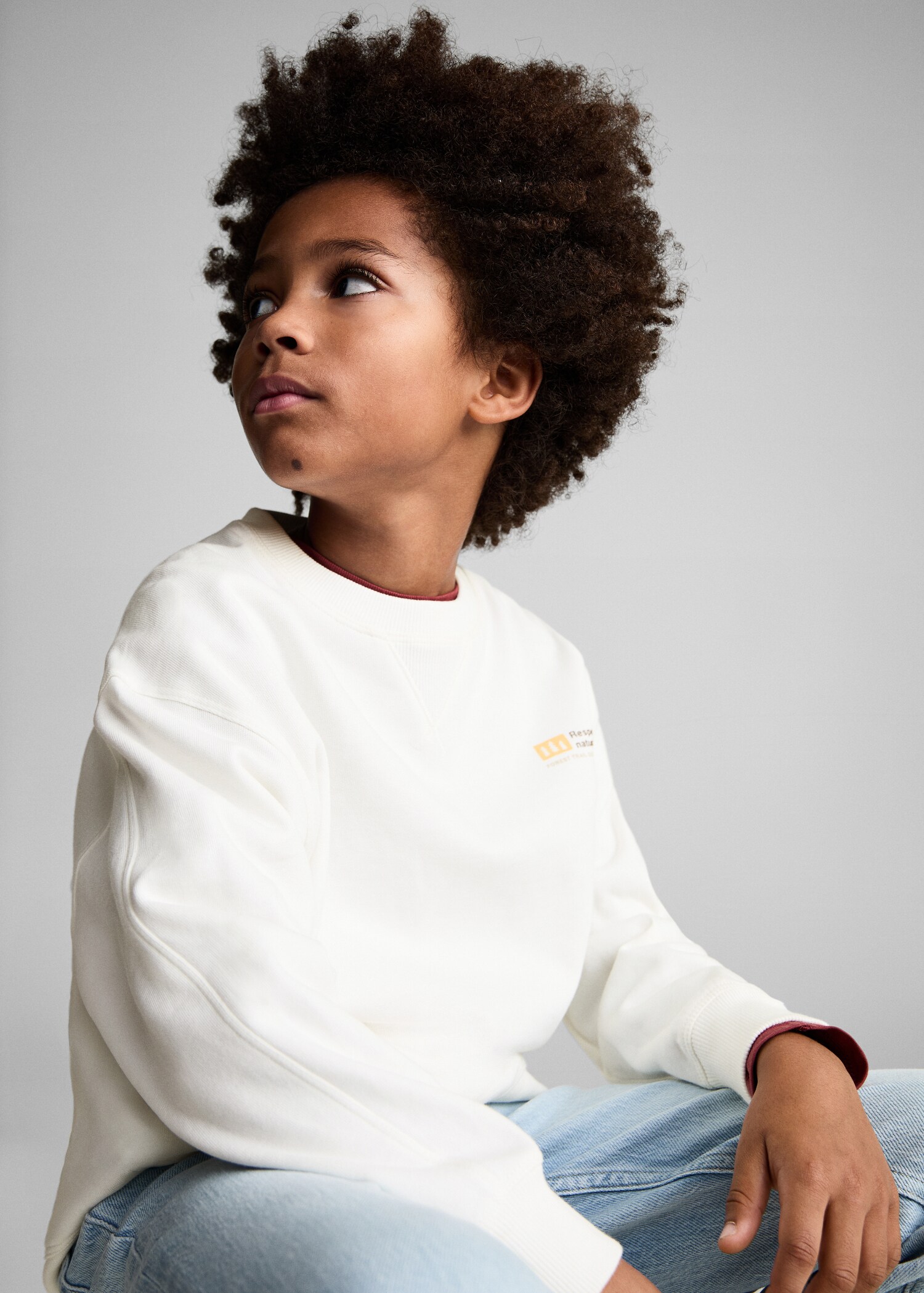 Printed cotton sweatshirt - Medium plane